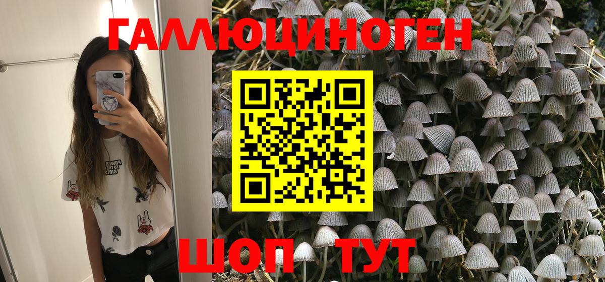 Псилоцибиновые грибы Psilocybine cubensis  Вход с VPN  Павлово  Псилоцибиновые грибы Magic Shrooms 