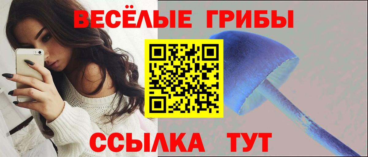 Псилоцибиновые грибы MAGIC MUSHROOMS Павлово